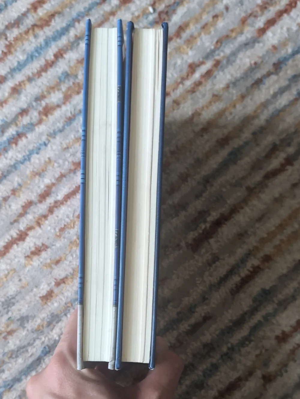 amulet includes diary